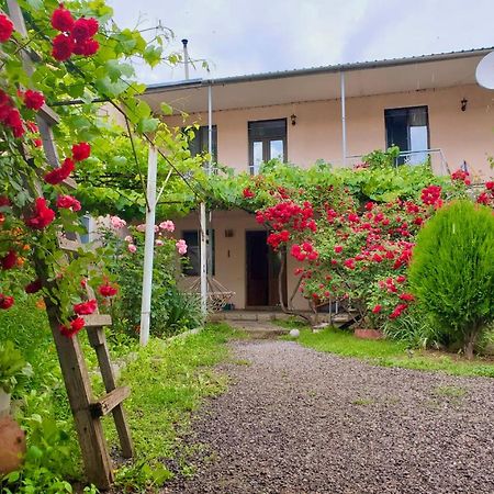 Guesthouse Mtkvari Nakalakevi Kültér fotó