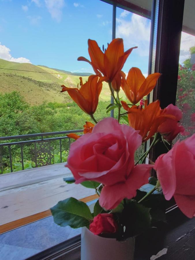 Guesthouse Mtkvari Nakalakevi Kültér fotó
