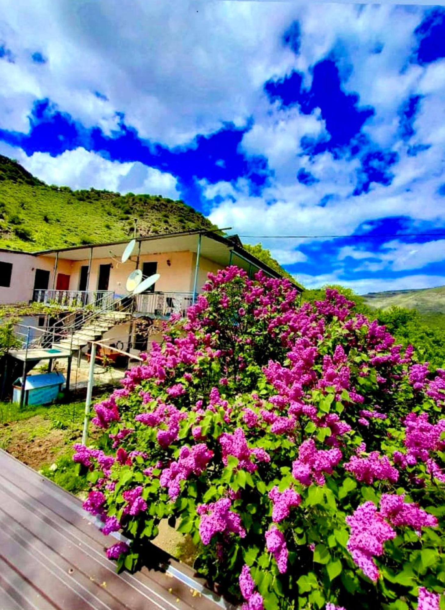 Guesthouse Mtkvari Nakalakevi Kültér fotó